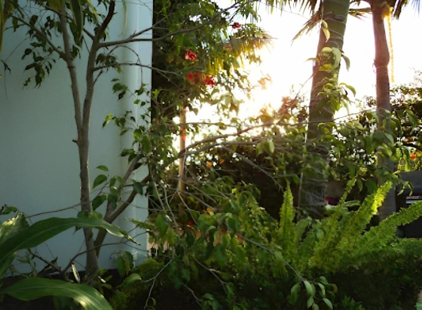 Eden Villa - Pool, Barbecue, Spectacular Views, Up To 7 Guests Funchal  Buitenkant foto